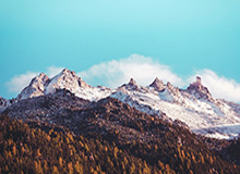 开运体育手机APP下载：让运动与好运同行的全新体验